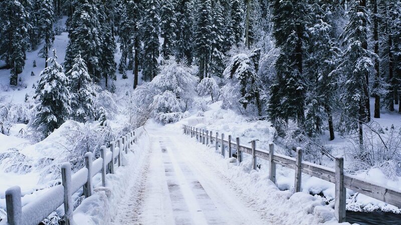 Snowy forest road in winter