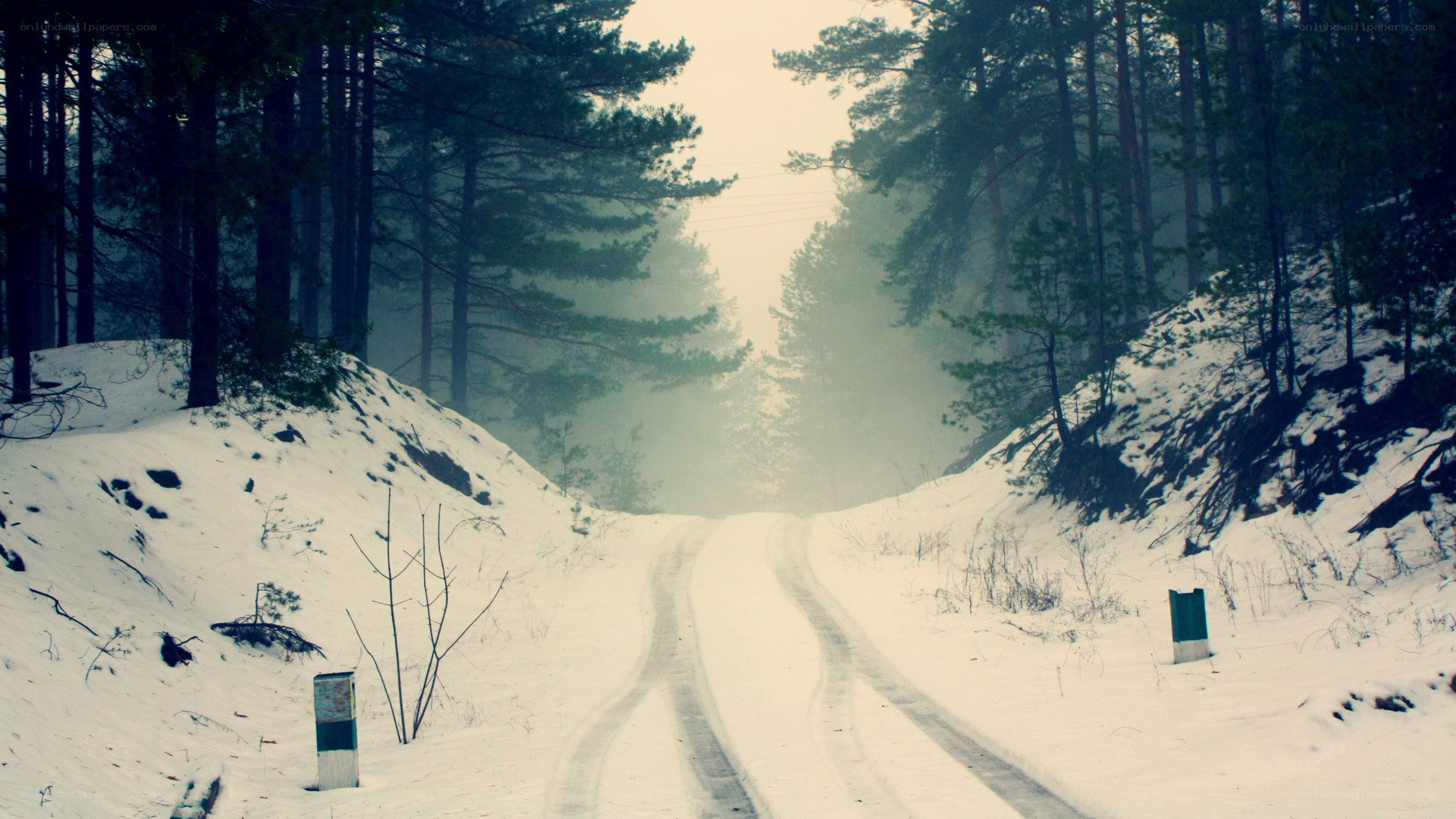 Snowy forest road in winter