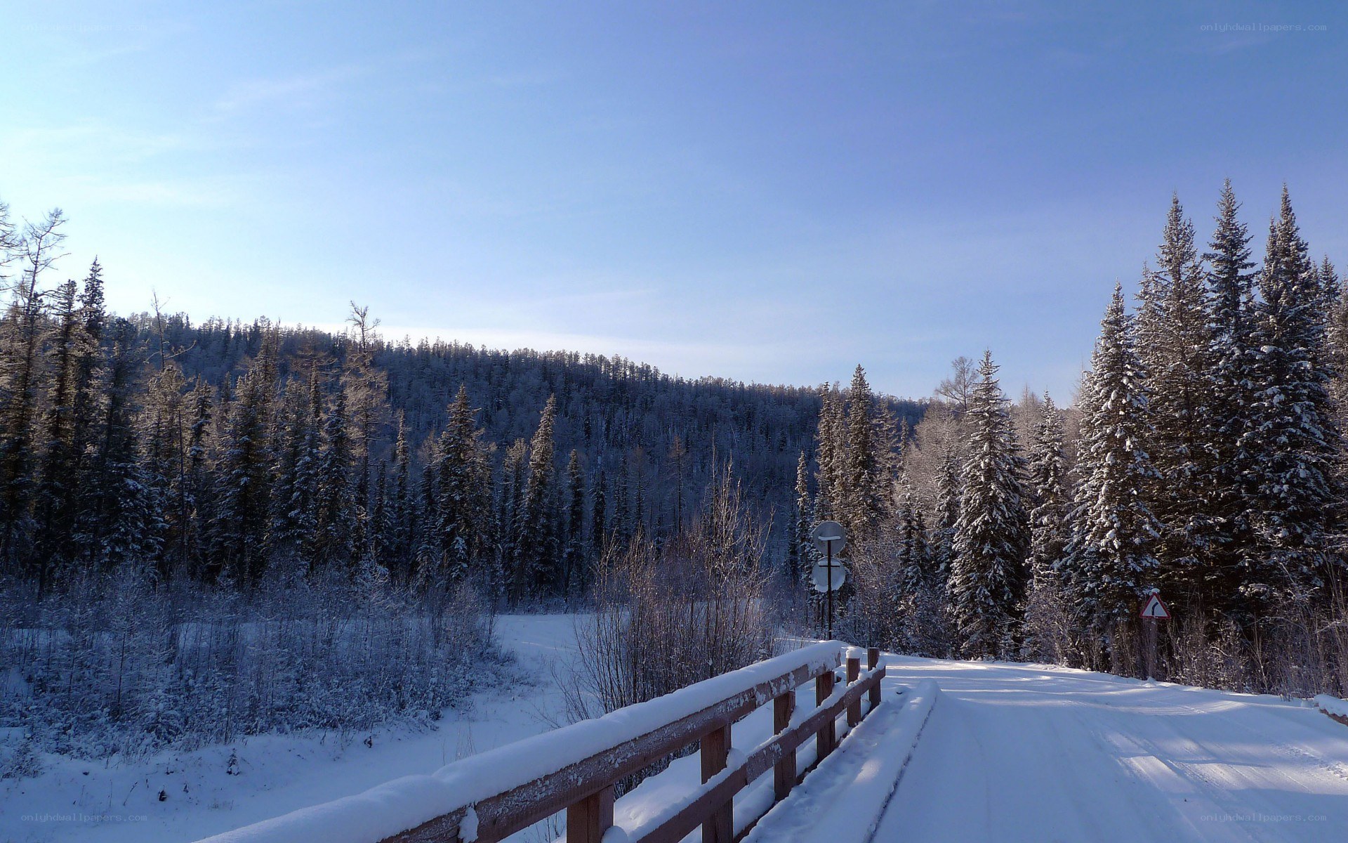 Snowy forest road in winter