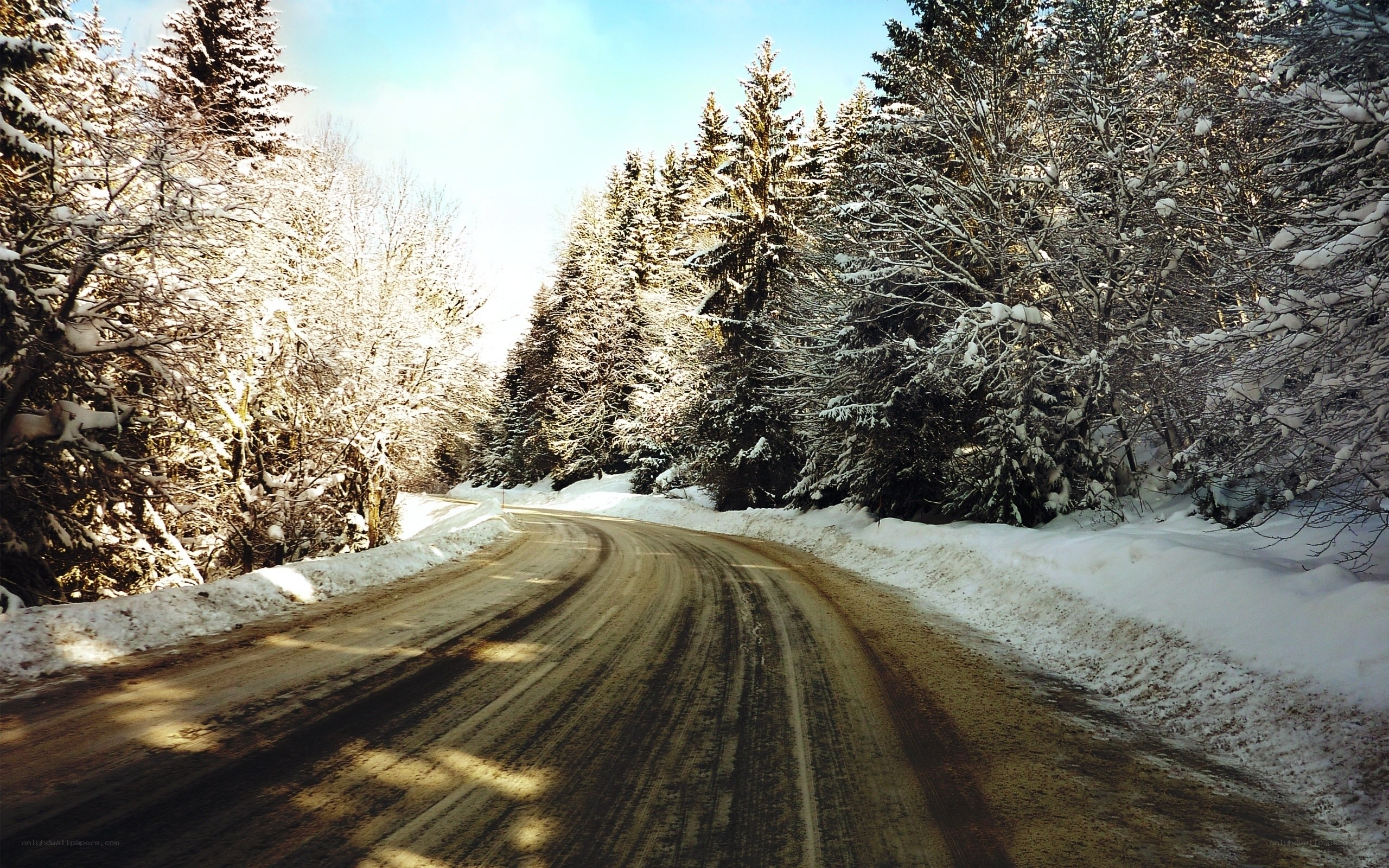 Snowy forest road in winter