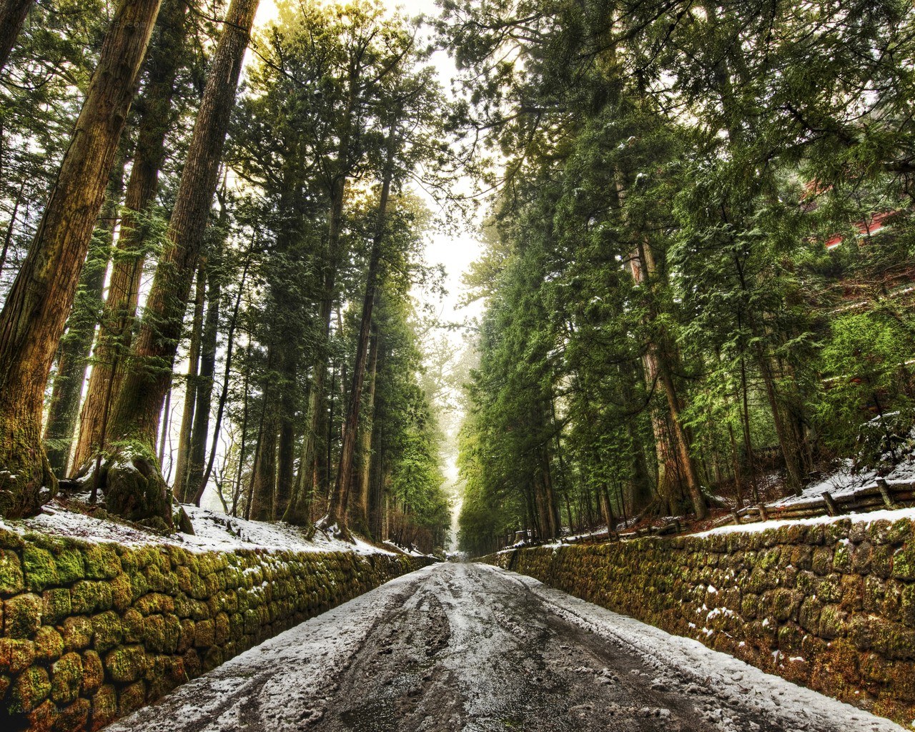 Snowy forest road path