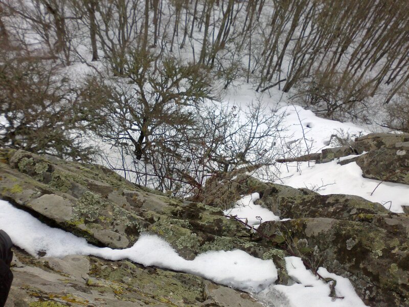 snowy forest rocks