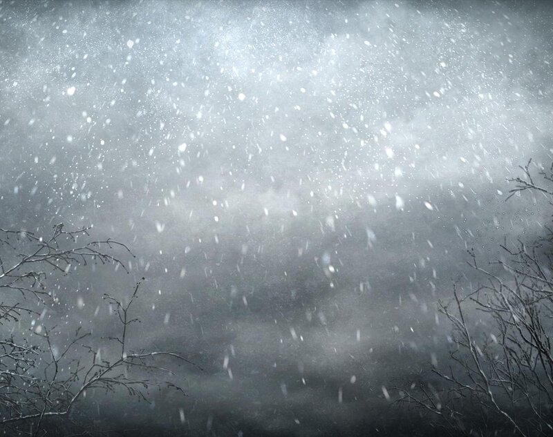 snowy forest scene