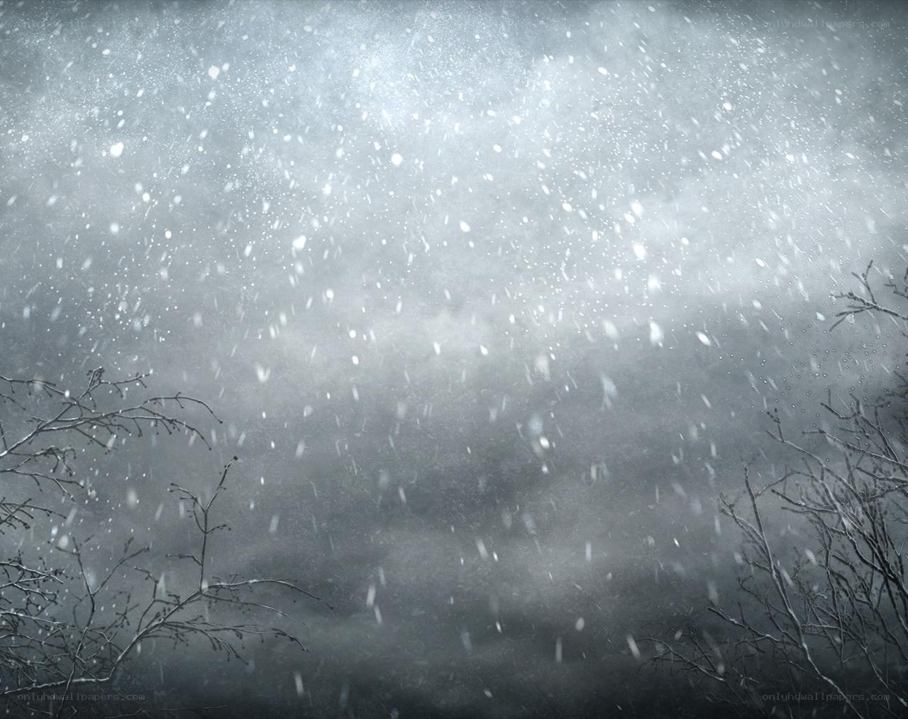 snowy forest scene