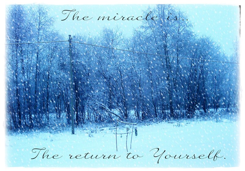 Snowy Forest Scene — Blue, Serene