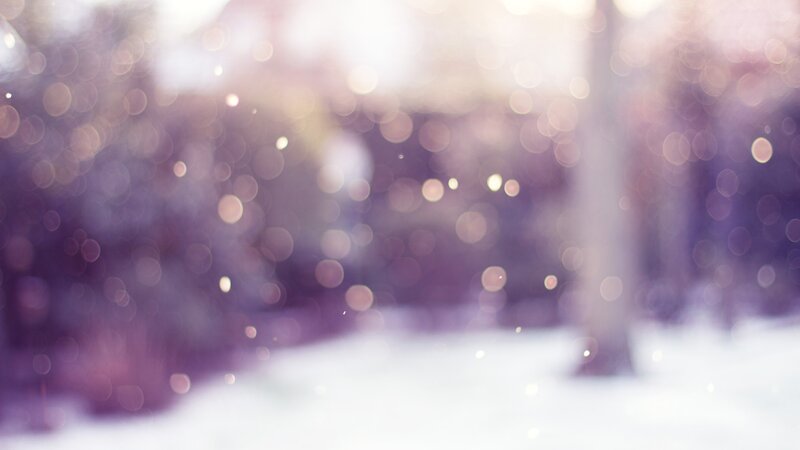 Snowy Forest Scene — Purple