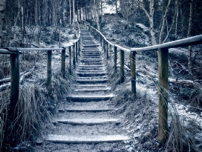 Snowy forest staircase