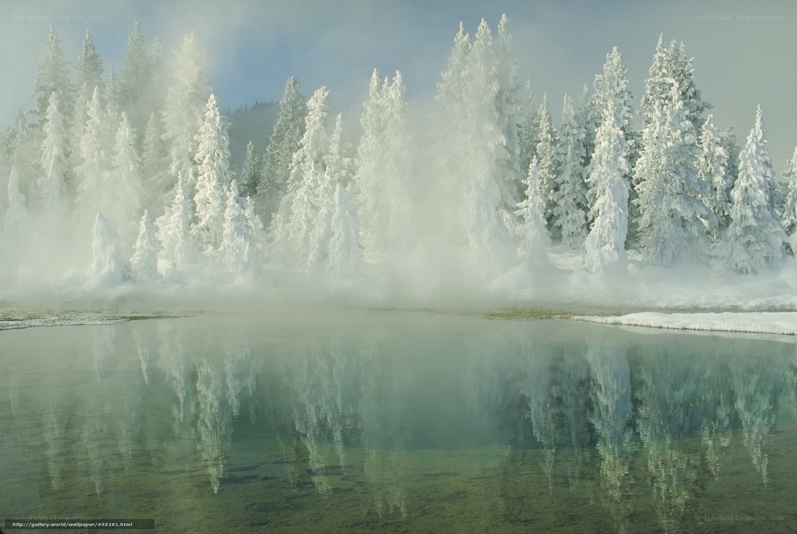 Snowy forest steam reflection