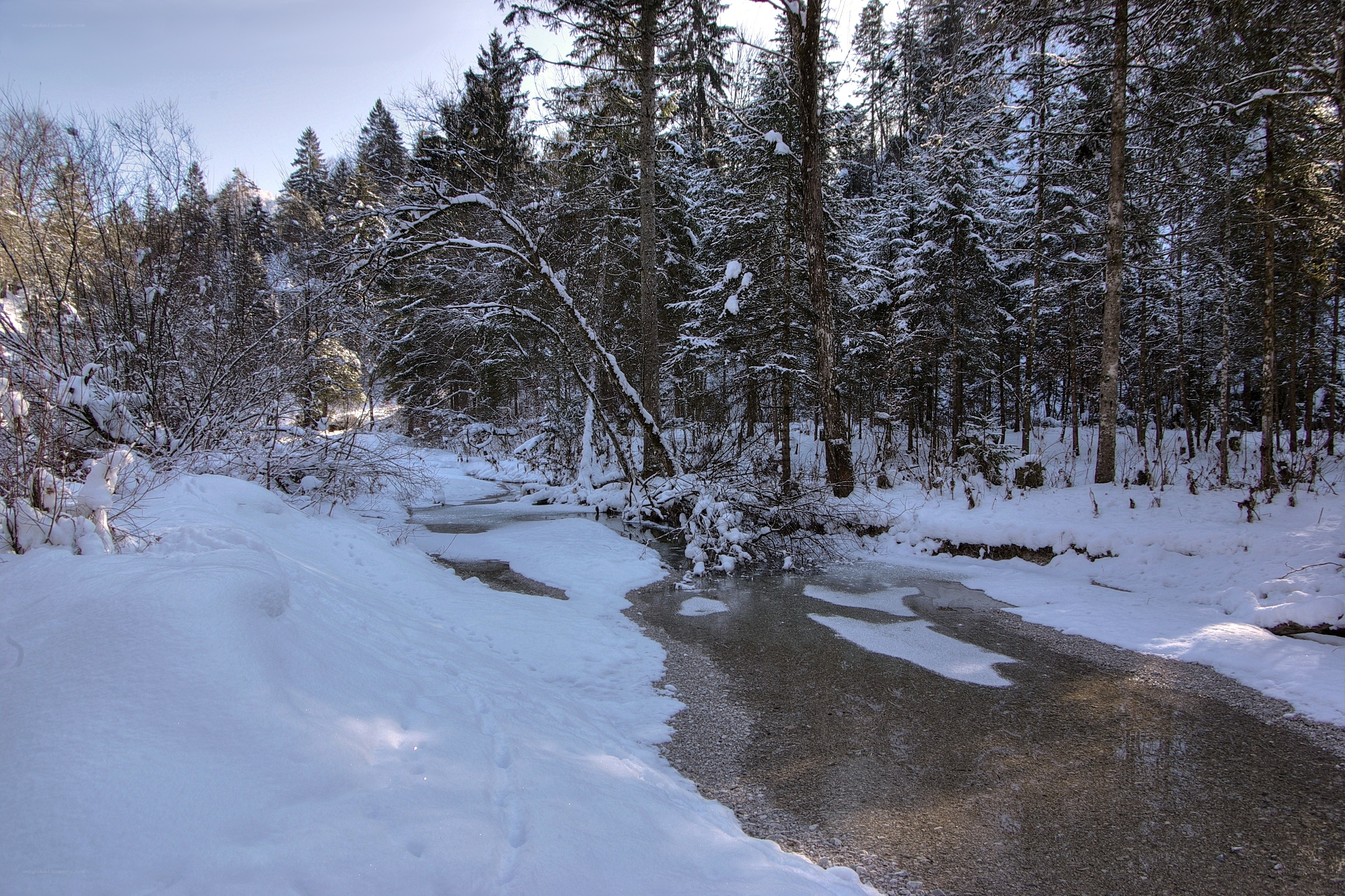 snowy forest stream