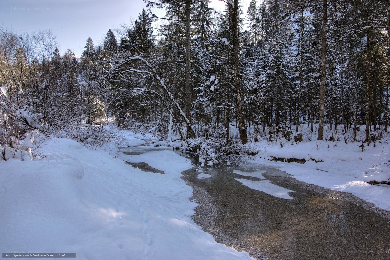 Snowy forest stream