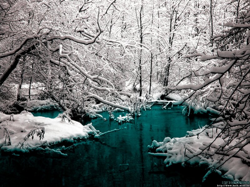 Snowy forest stream