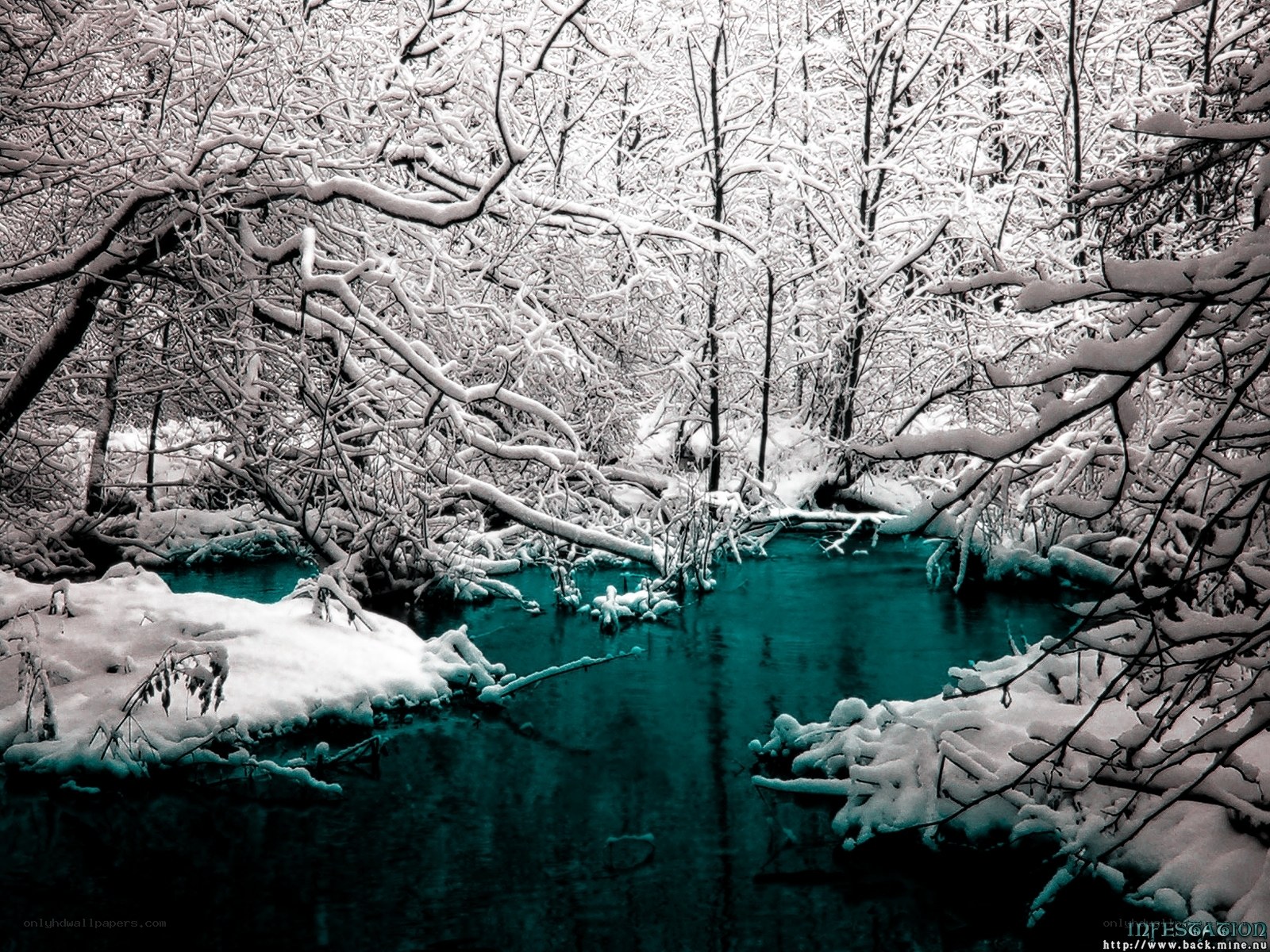Snowy forest stream