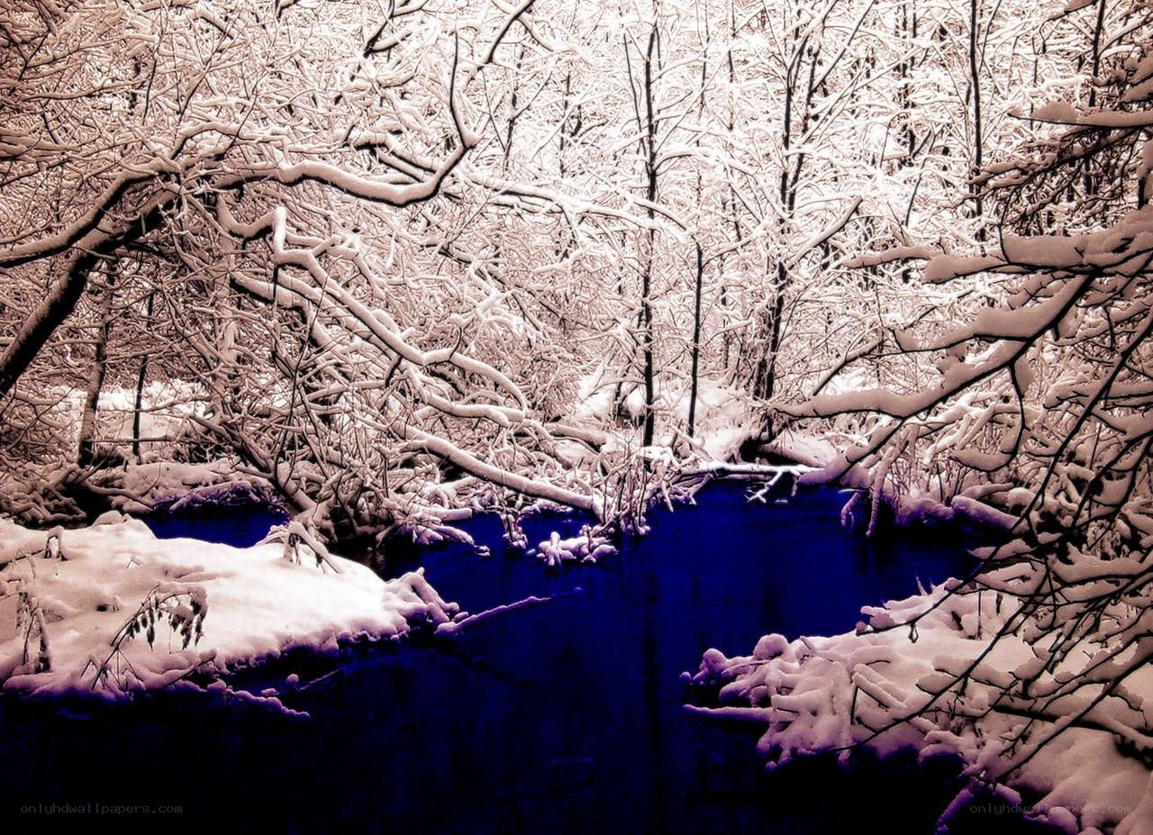 Snowy forest stream
