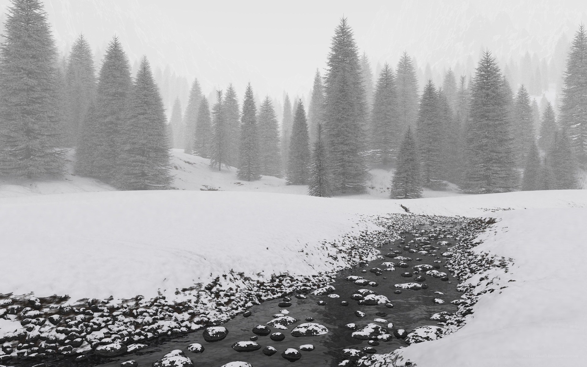 Snowy forest stream