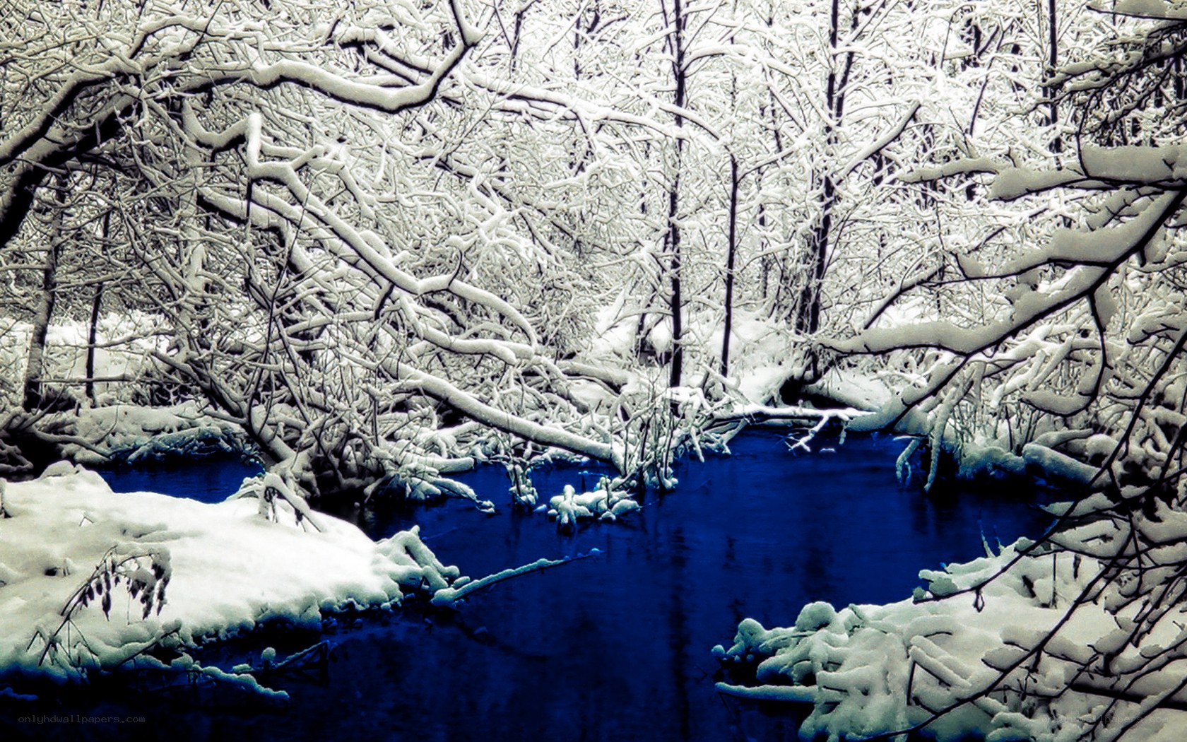 Snowy forest stream