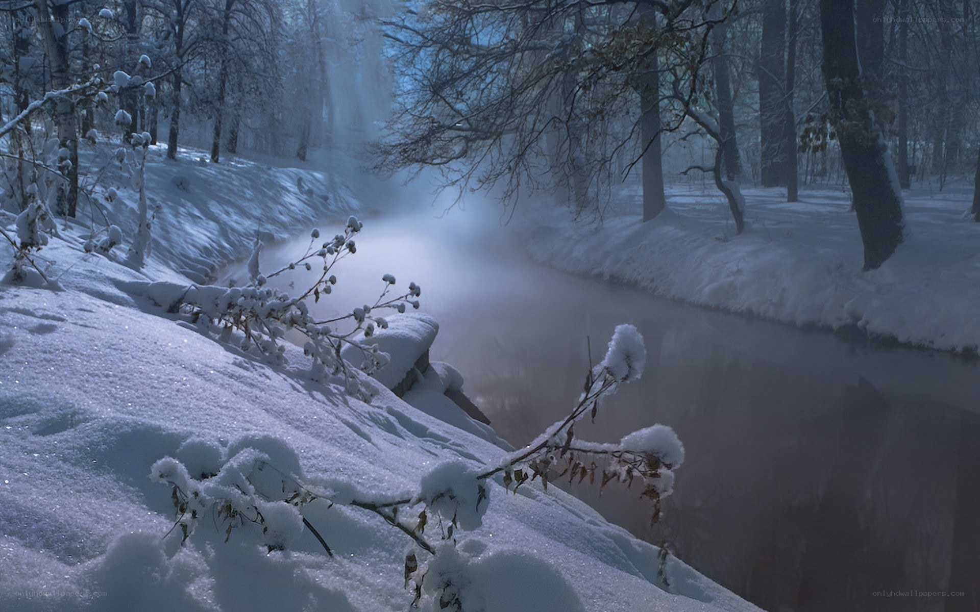 Snowy forest stream