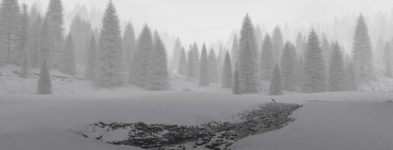 snowy forest stream
