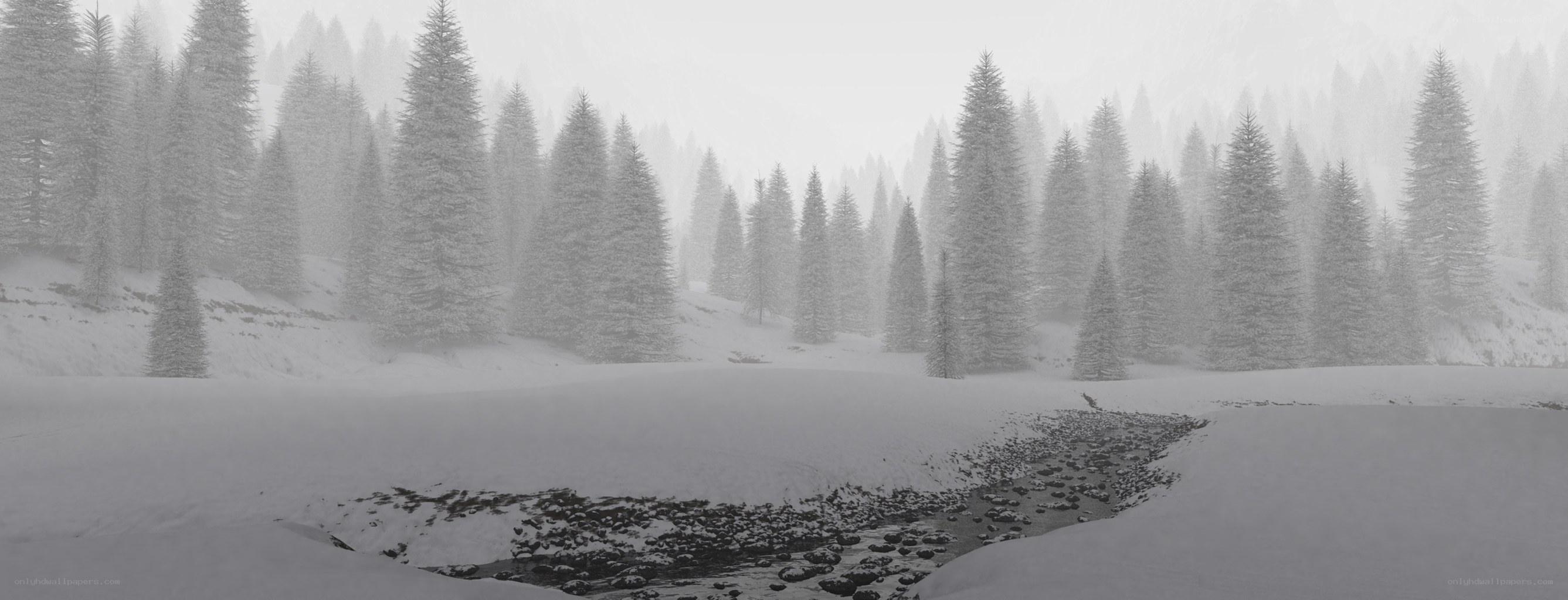 snowy forest stream