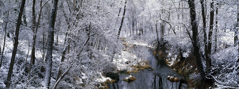Snowy forest stream