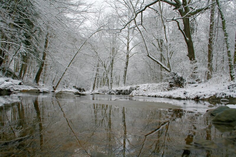 Snowy forest stream