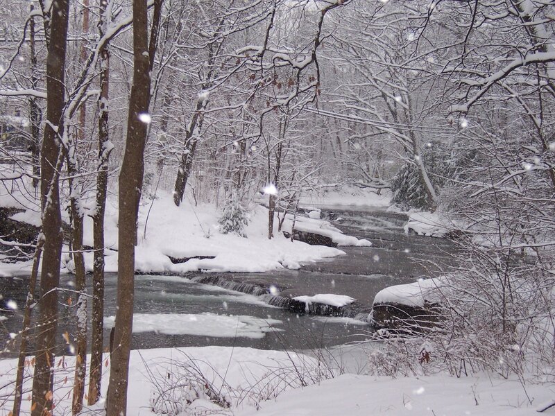 Snowy forest stream
