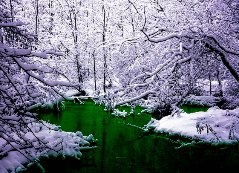 snowy forest stream