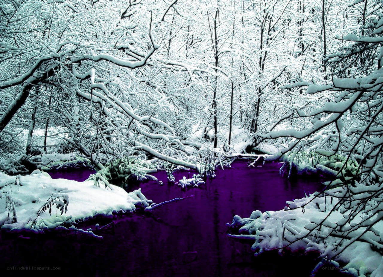 snowy forest stream
