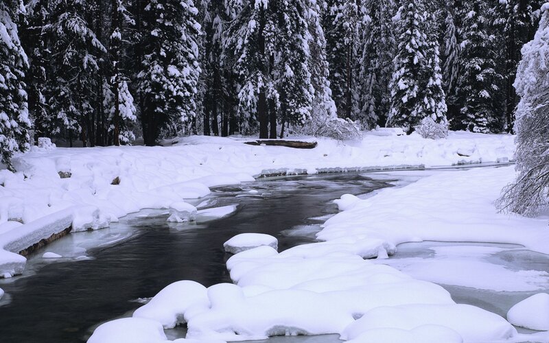 Snowy forest stream