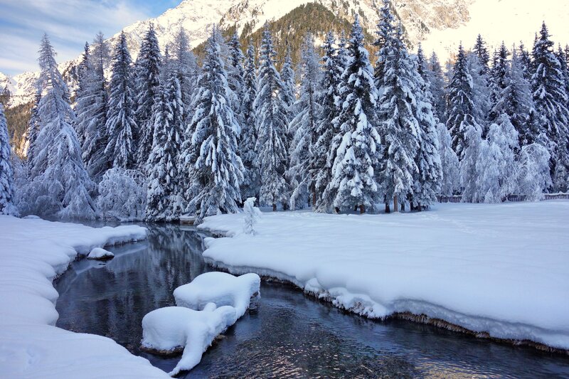 Snowy forest stream