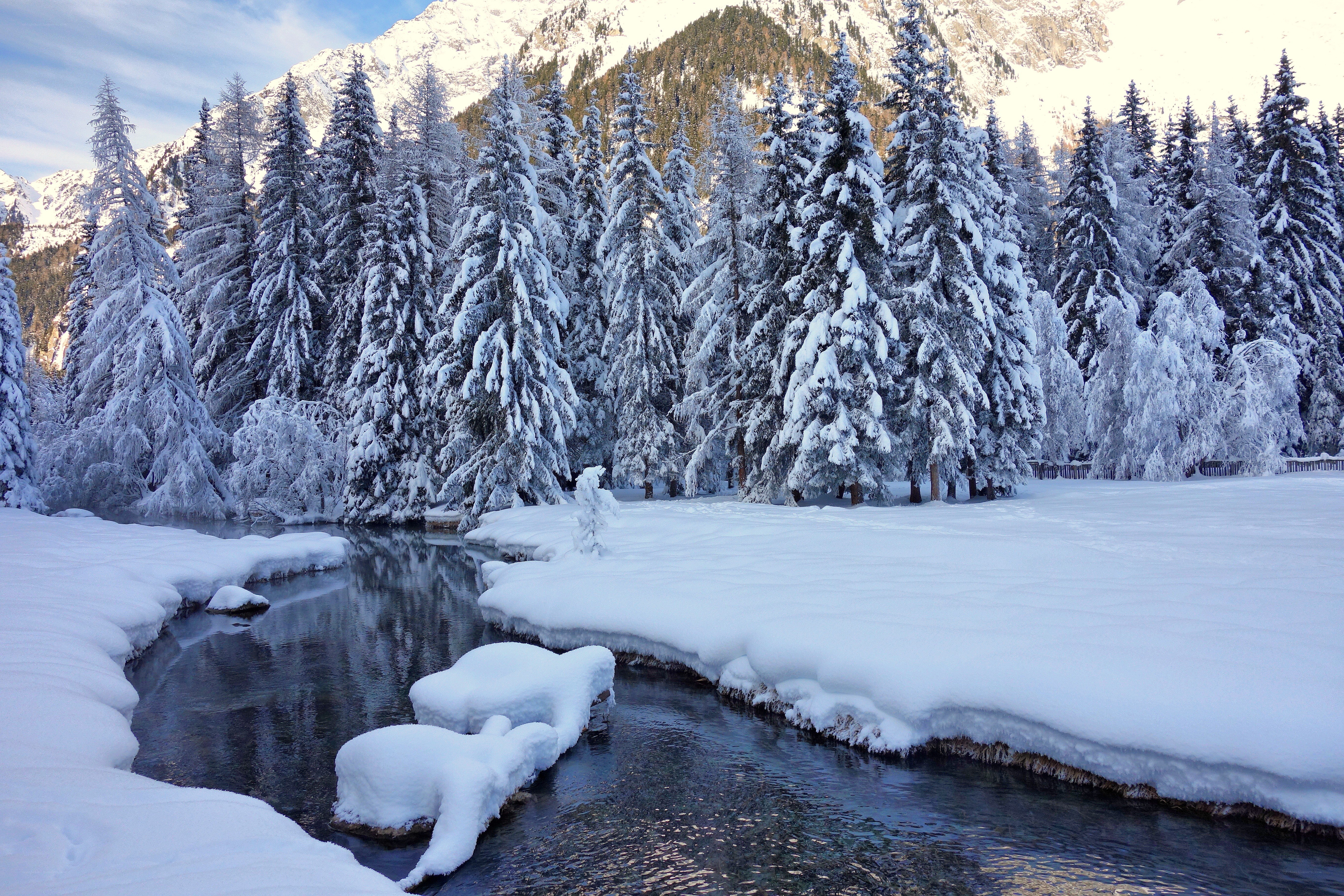 Snowy forest stream
