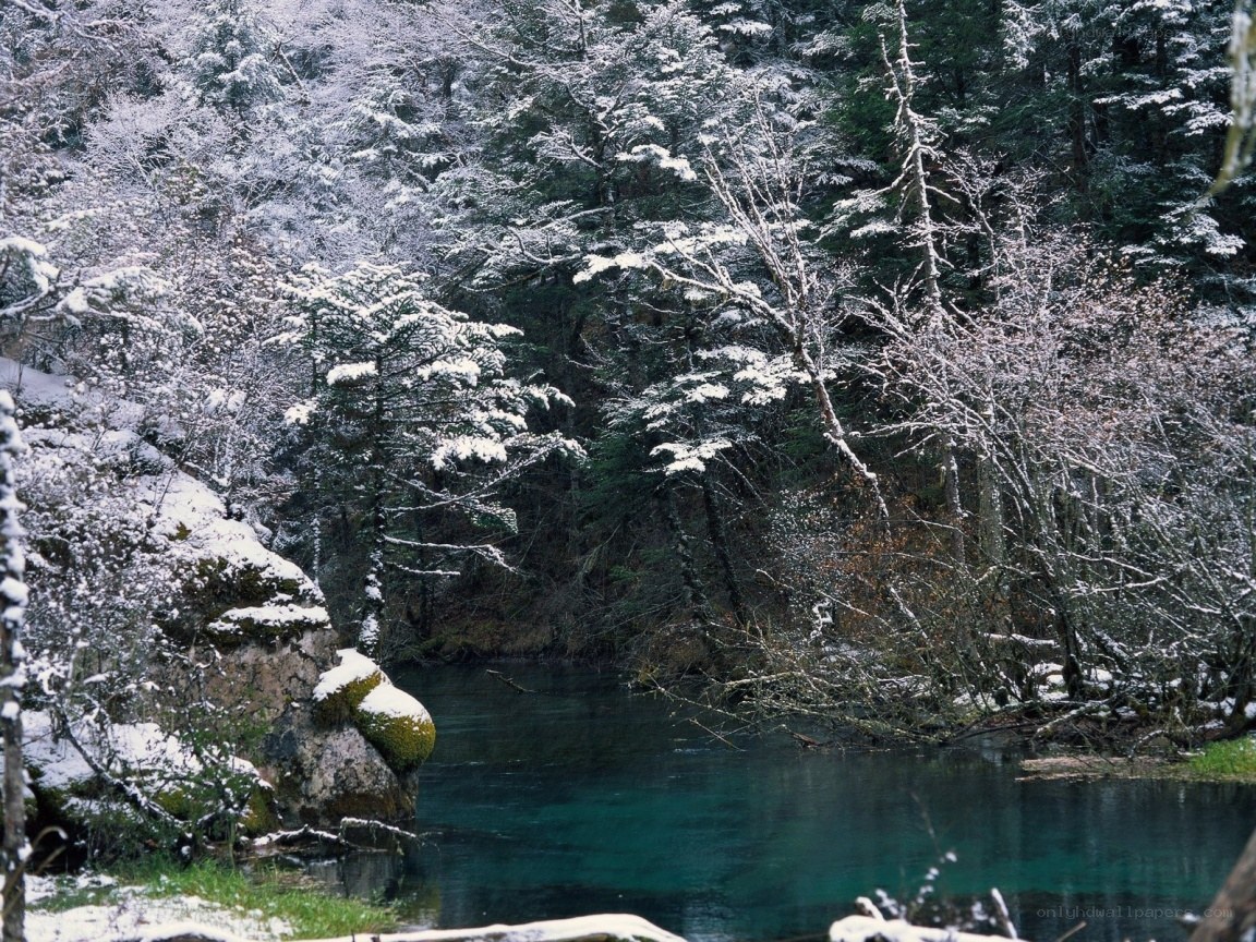 Snowy forest stream