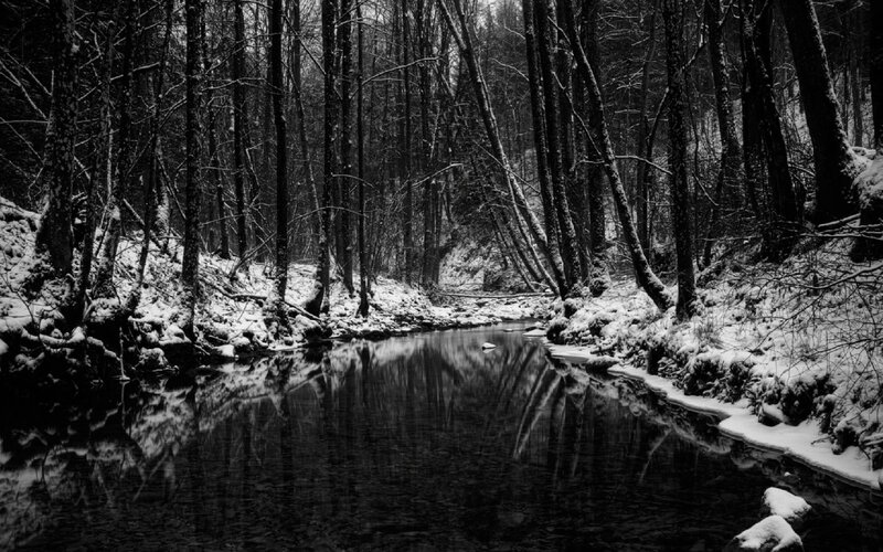 Snowy forest stream