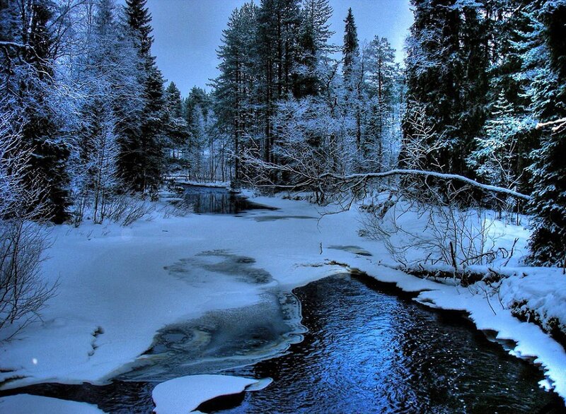 snowy forest stream