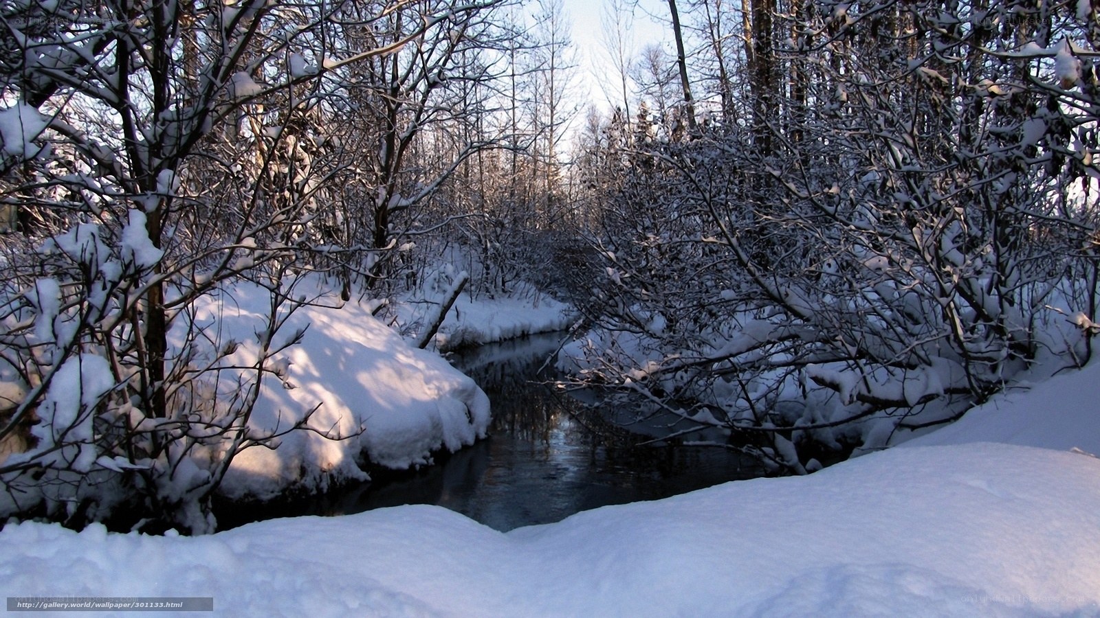 Snowy forest stream