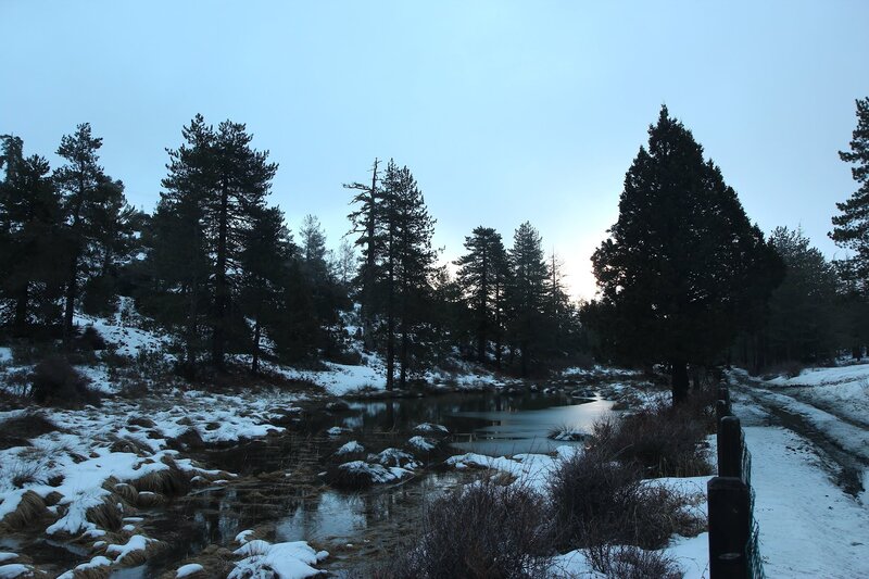Snowy forest stream at dusk