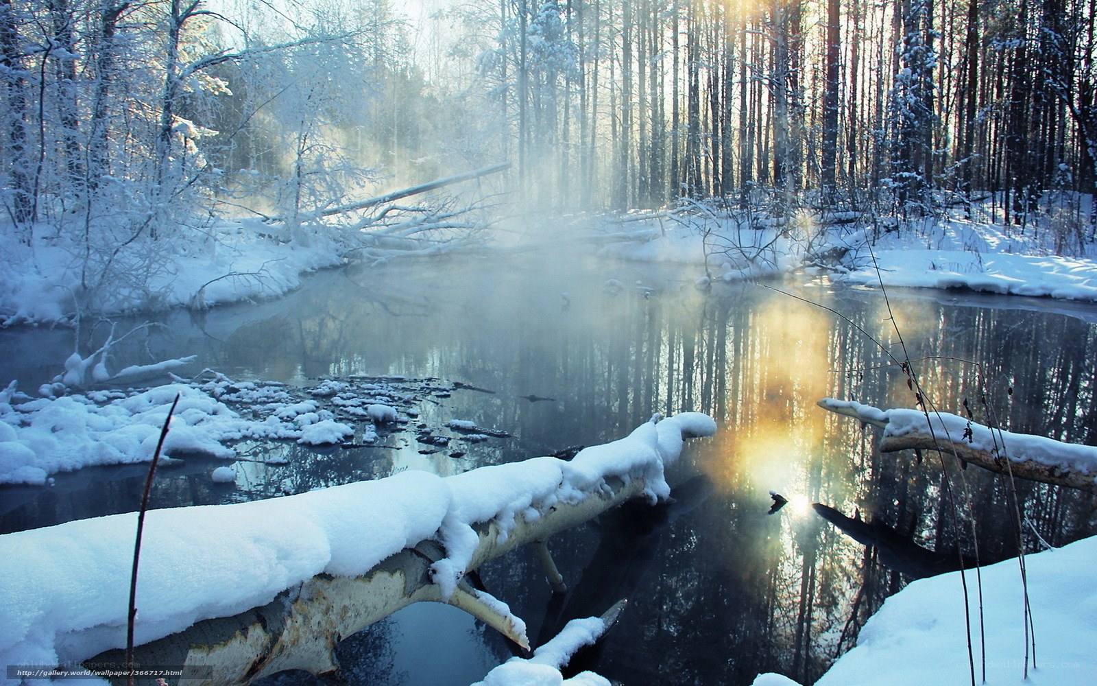 Snowy forest stream at sunrise