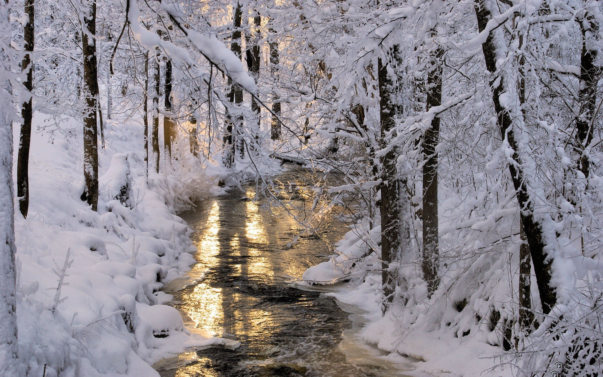 Snowy forest stream at sunset