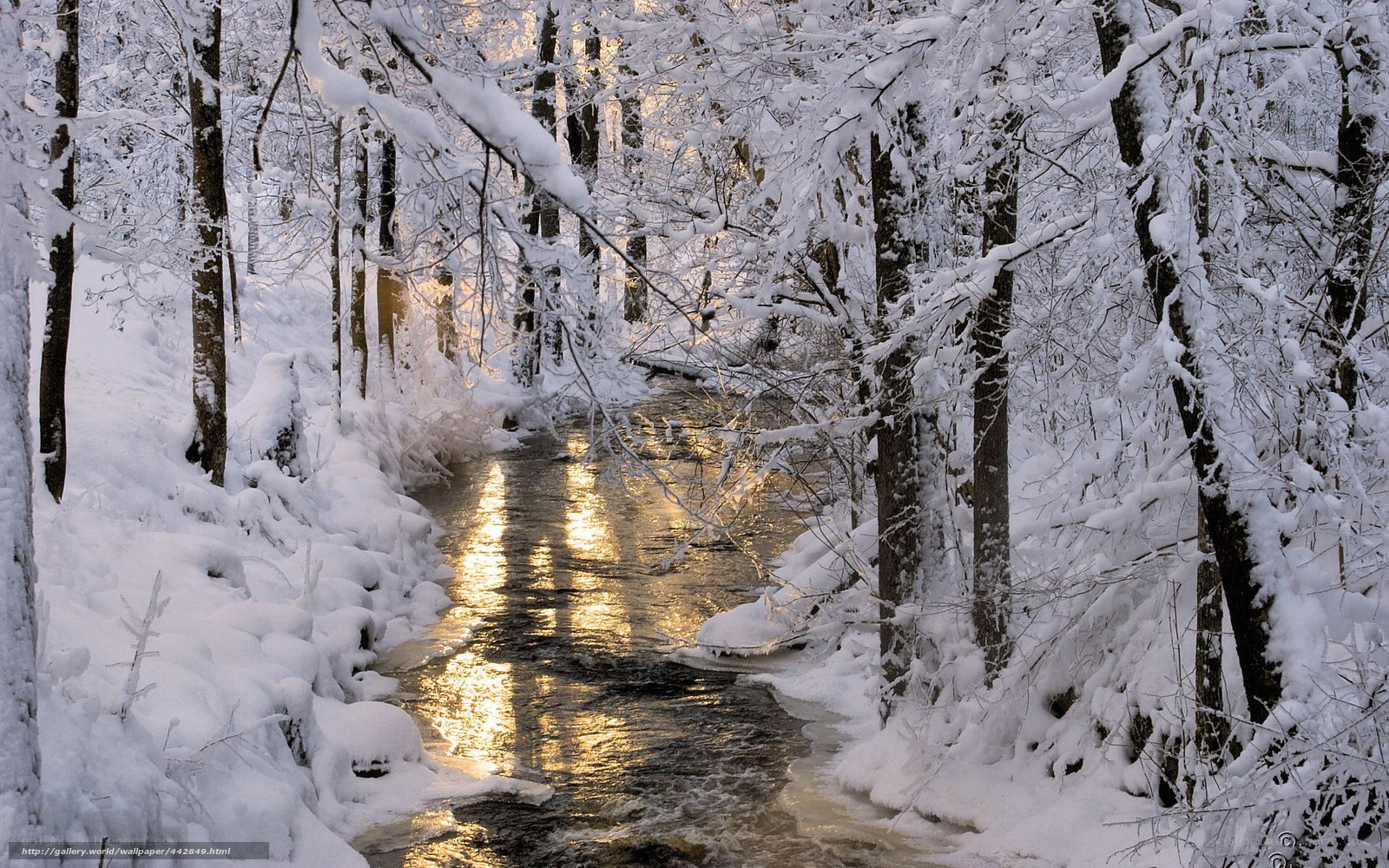 Snowy forest stream at sunset