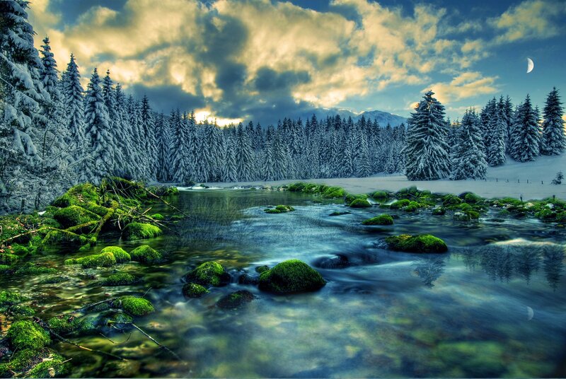 Snowy Forest Stream — Green, Serene