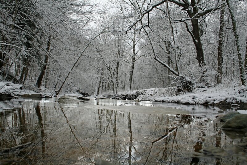 Snowy forest stream reflection