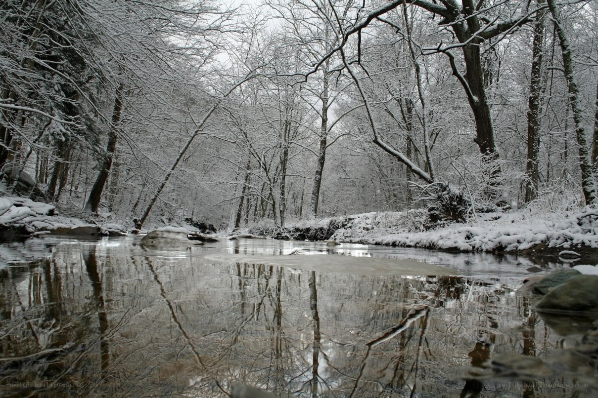 Snowy forest stream reflection