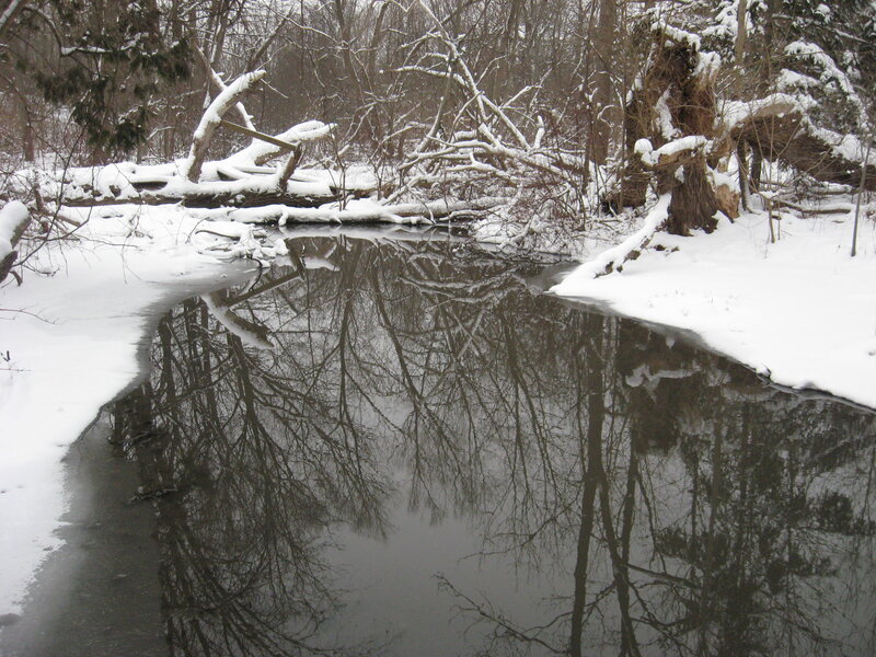 Snowy forest stream reflection