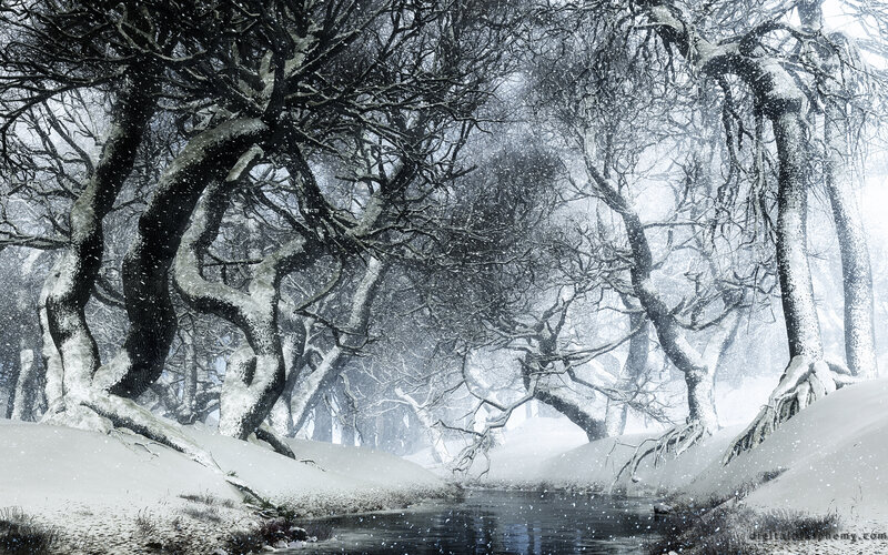Snowy Forest Stream — White, Cold