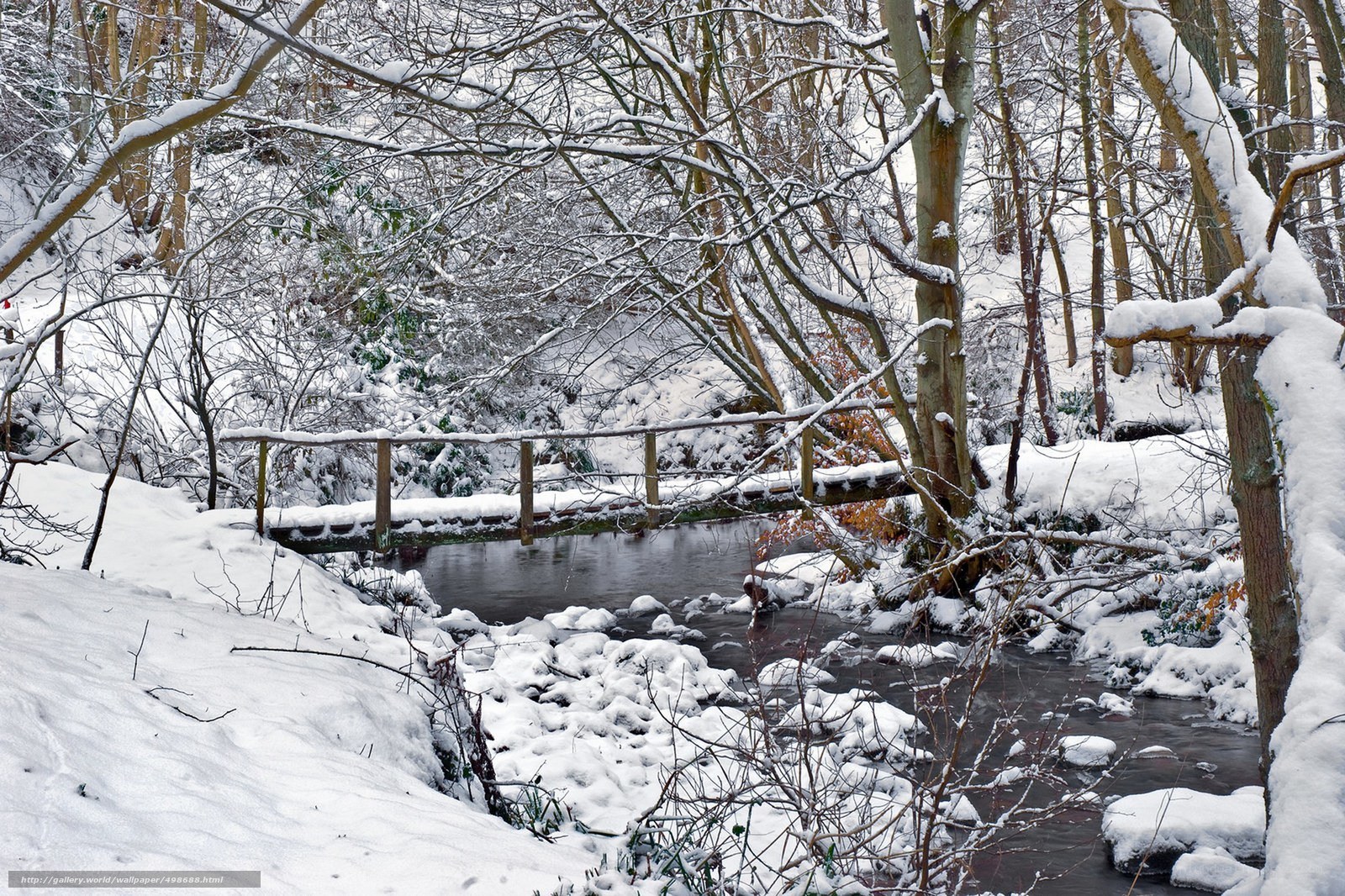 Snowy forest stream with bridge