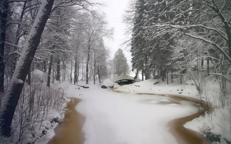 Snowy forest stream with bridge