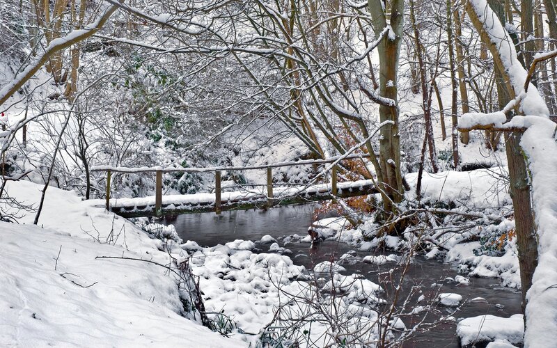 Snowy forest stream with bridge