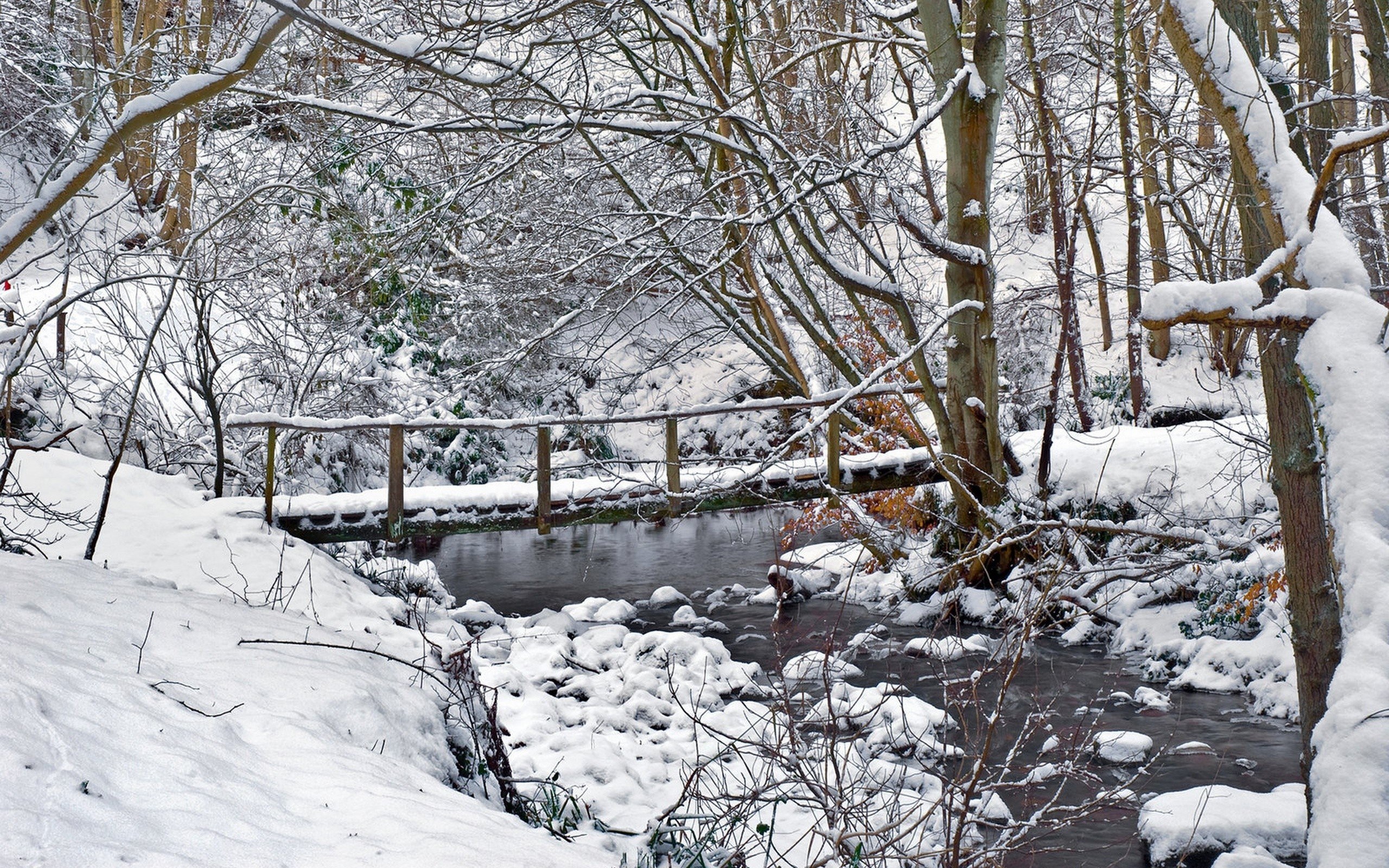 Snowy forest stream with bridge