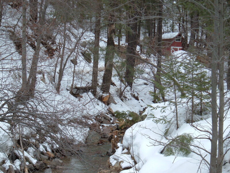 Snowy forest stream with cabin