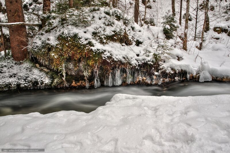 Snowy forest stream with icicles