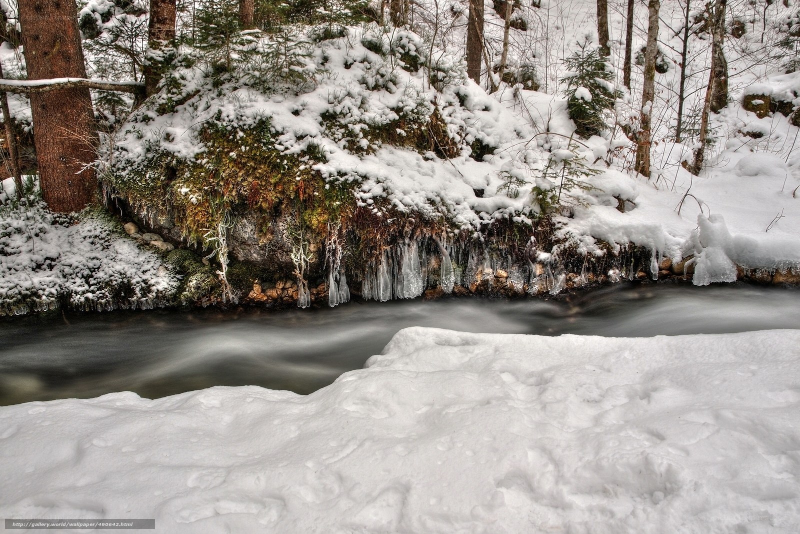 Snowy forest stream with icicles